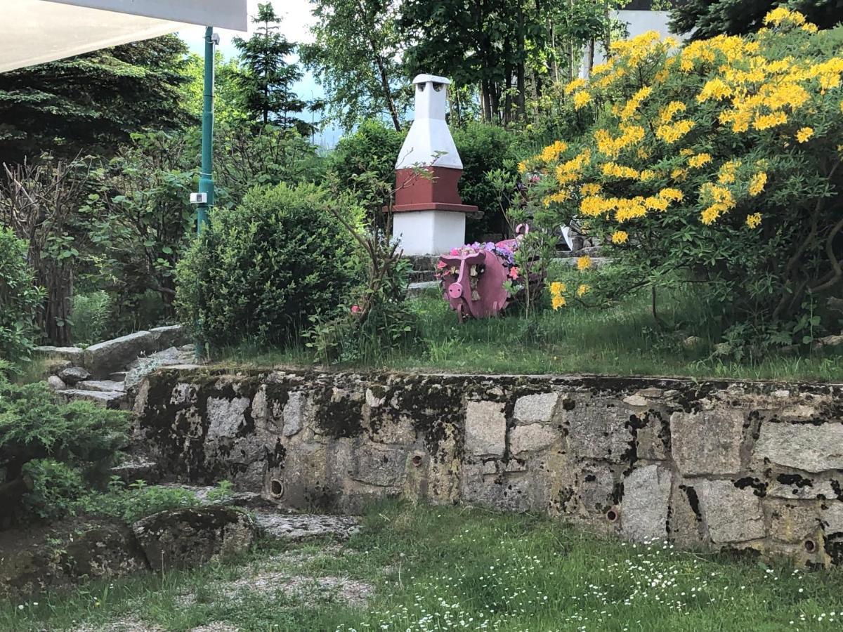 Azyl Karpacz - Kazdy Pokoj Z Wlasna Kuchnia I Lazienka ภายนอก รูปภาพ