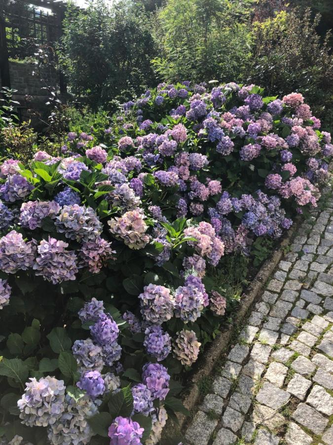 Azyl Karpacz - Kazdy Pokoj Z Wlasna Kuchnia I Lazienka ภายนอก รูปภาพ